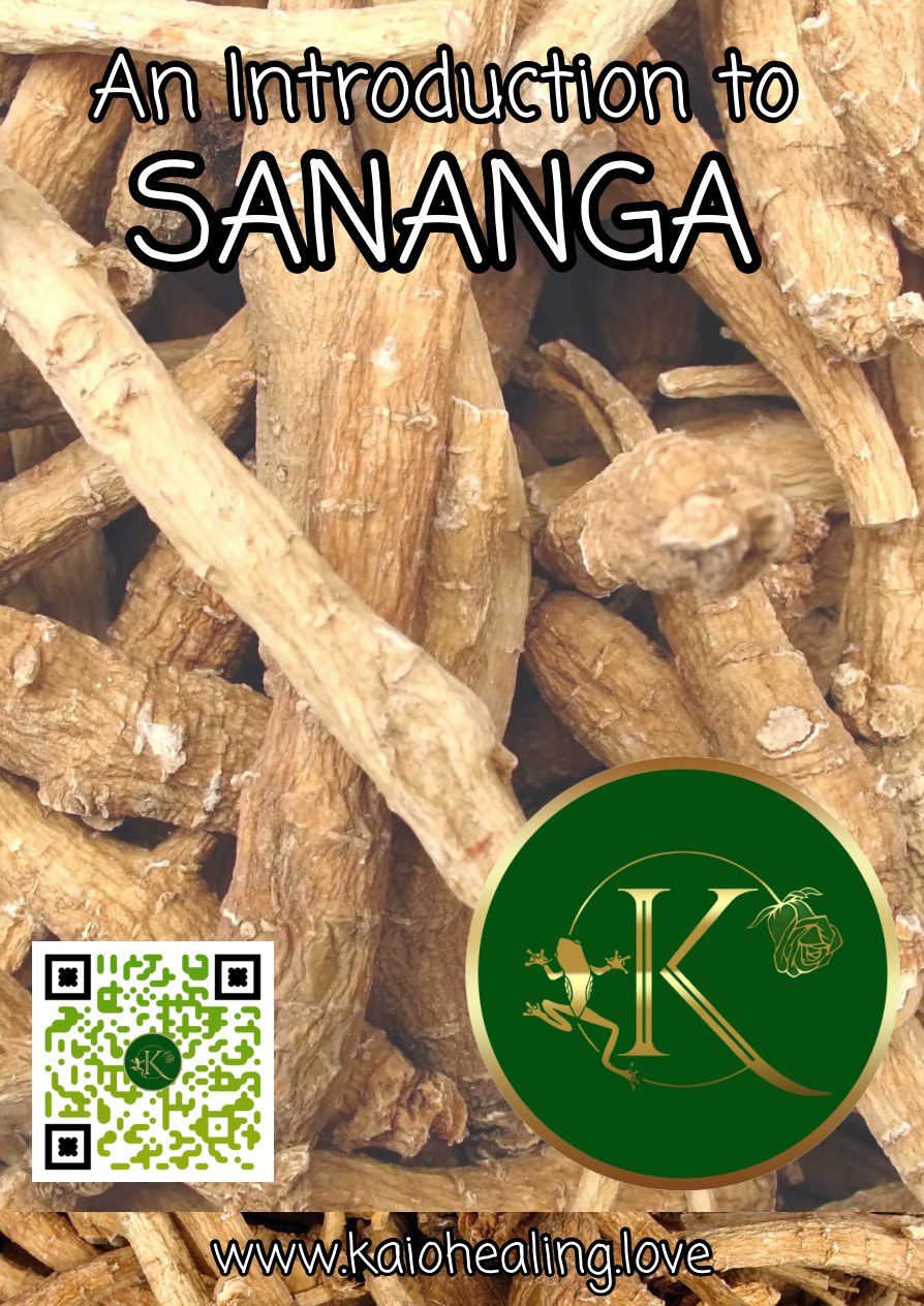 Cover of An Introduction to Sananga