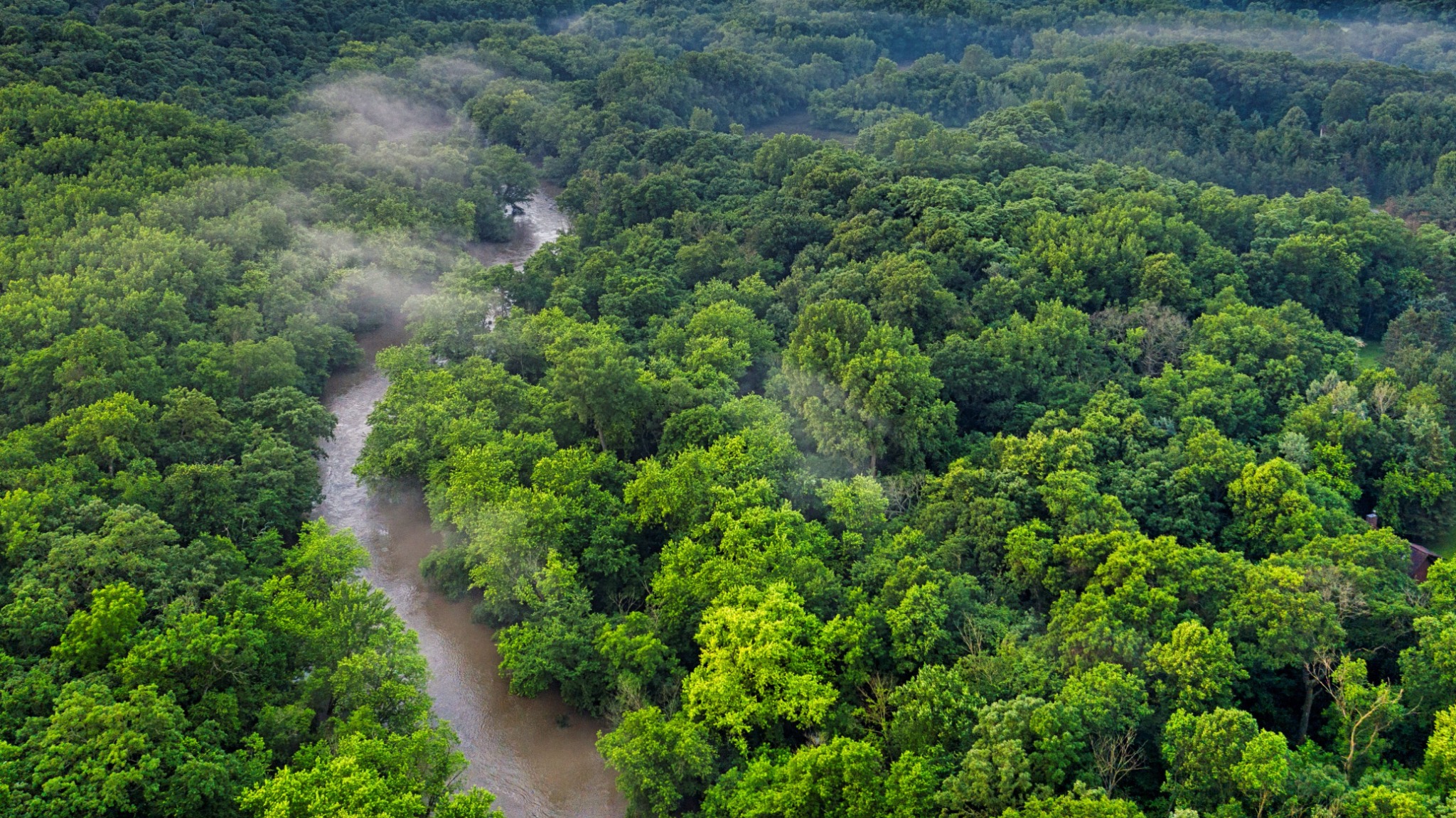 Amazon rainforest and river